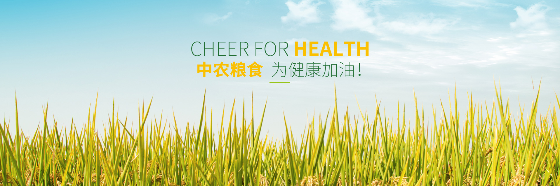 中農糧食