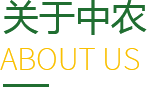 中農糧食